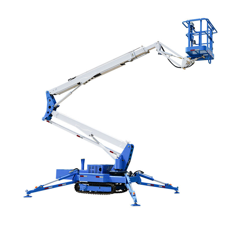 Small Crawler Spider Crane with Hydraulic Boom Lift 